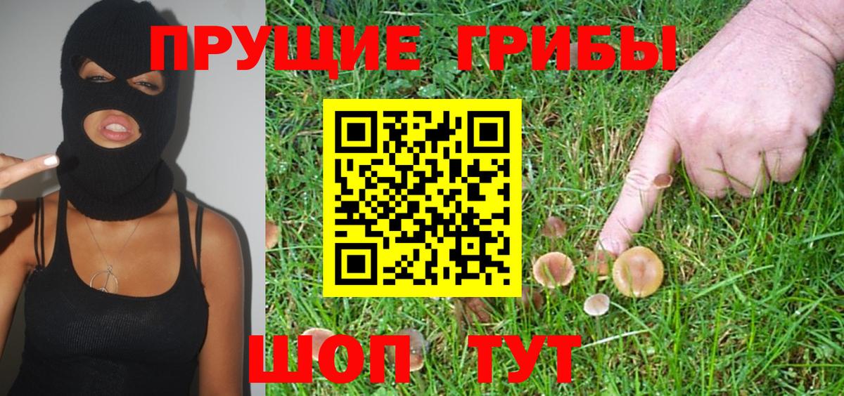 Псилоцибиновые грибы GOLDEN TEACHER  Вход с VPN  Улан-Удэ 