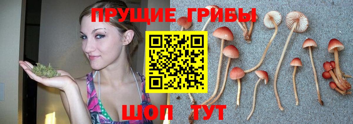 Галлюциногенные грибы GOLDEN TEACHER Улан-Удэ